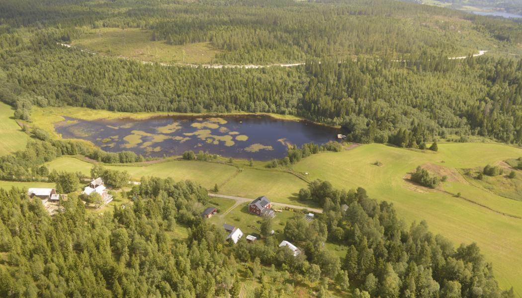 Holmen menar att FSC Sveriges kriterier går längre än FSC:s internationella kriterier och ” innebär kraftigt begränsande krav”. Arkivbild.