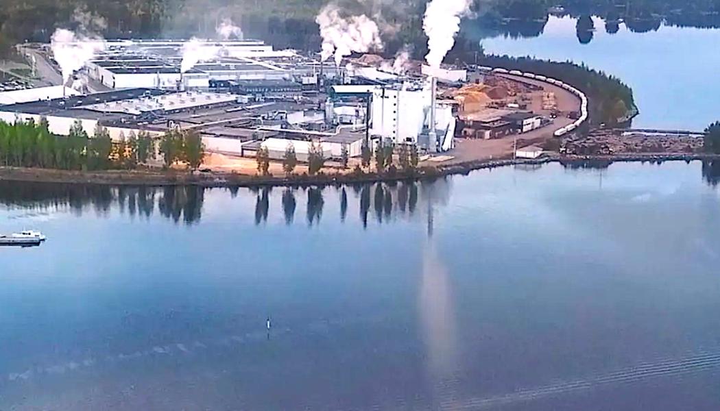 Nämnden för byggnads- och miljöfrågor i Nyslott behandlade ärendet under sommaren och gjorde klart att man förväntade sig alternativa lösningar från företaget. I sitt yttrande betonade nämnden att en utfyllnad av vattenområdet skulle kunna påverka både vattenkvaliteten och saimenvikarens möjligheter att häcka.
– Att fylla ut vattenområdet skulle påverka exempelvis vattenkvaliteten och saimenvikarens häckning, stod det i nämndens utlåtande. Foto: Metsä Group