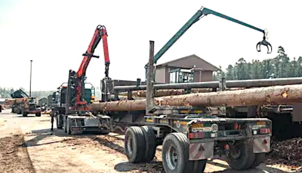 Sågverk Ziegler i södra Tyskland. Foto: Sägewerk Ziegler