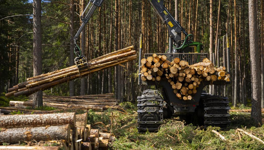 Foto: Bergkvist Siljan AB