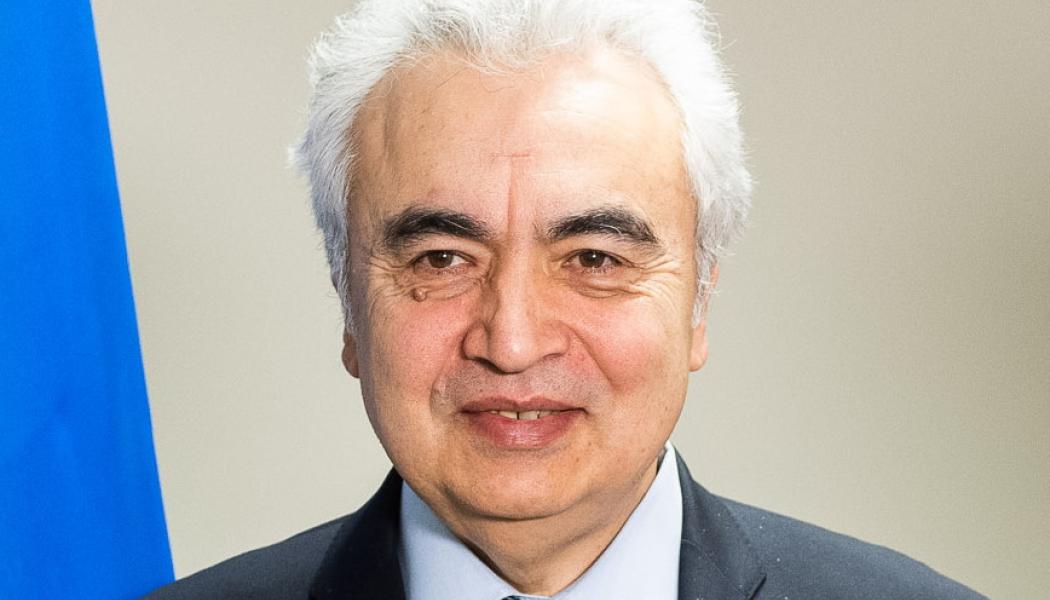 Birol konstaterar att detta skapar flaskhalsar som leder till ökade produktionsbegränsningar och allt fler episoder med negativa elpriser på flera marknader. Foto: IEA