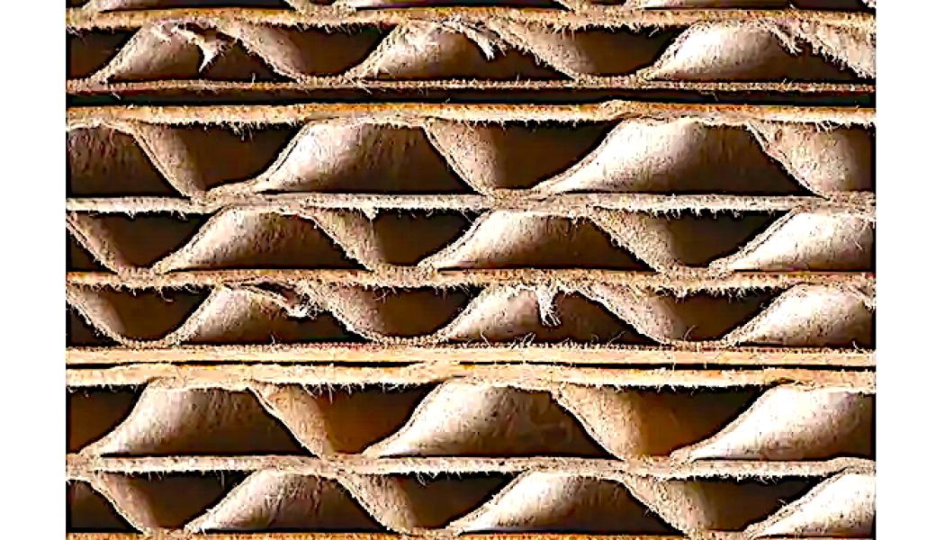 Palm tar plats i Tjeckien med nytt samriskbolag