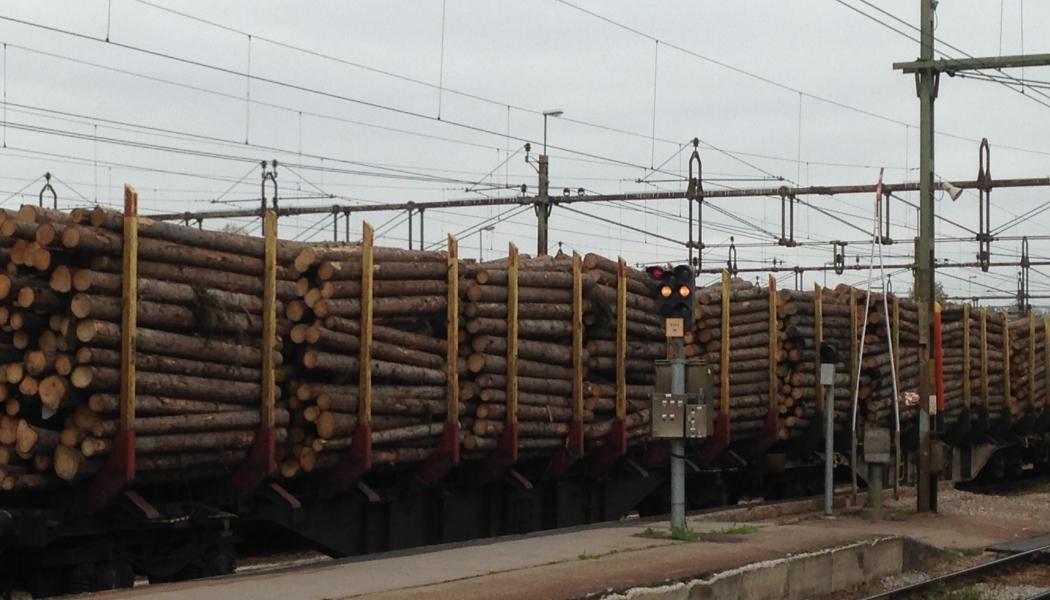 Tågtransporterna utgör ungefär 45 procent av det transportarbetet som krävs för att SCA Skog ska kunna försörja SCA:s industrier med råvara.