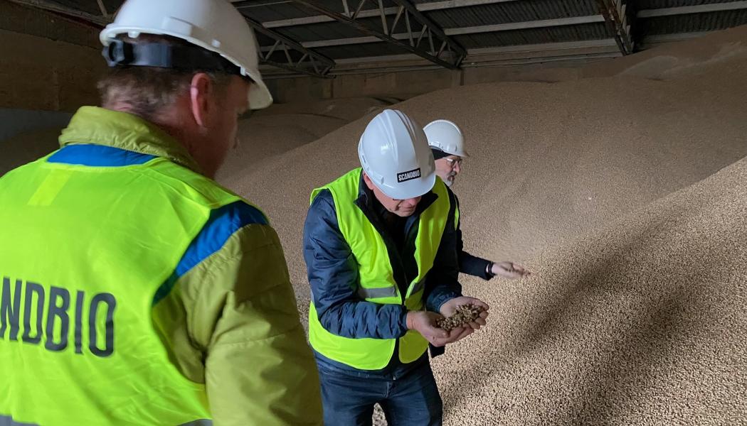  Säkrare och effektivare pelletstillverkning har varit målet med forskningsprojektet Innopels. Foto: Paper Province