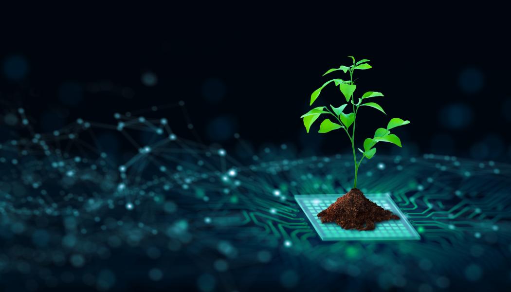 Foto: Istockphoto