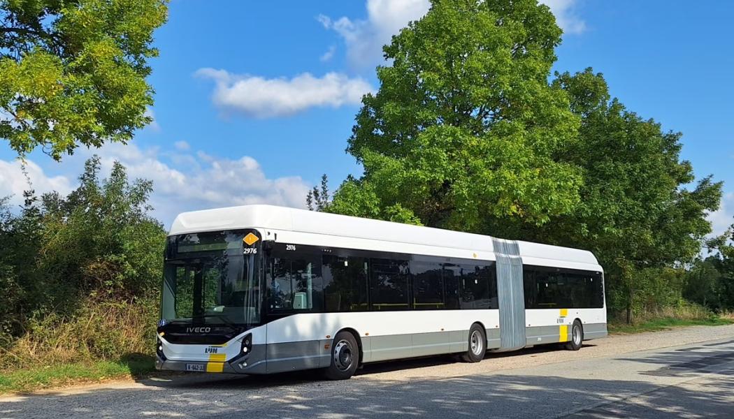 Ivecos ledbuss med eldrift. Med det ökande antalet elbussar och de omfattande investeringarna befäster Flandern sin position som en föregångare i Europas gröna omställning inom kollektivtrafik. Foto: Iveco