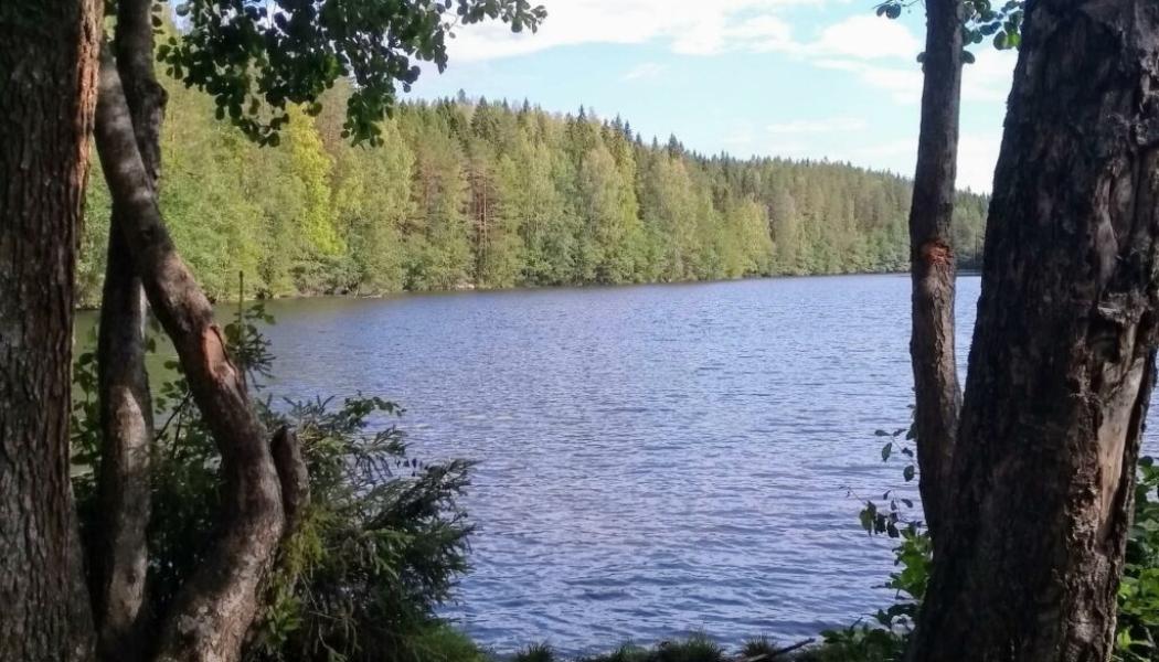 Terrafames gruvområde ligger söder om Kajana, mellan riksvägarna 5 och 6. Ansökan om att anlägga ett nytt dagbrott här vid sjöns strand har nu avslagits av myndigheten. Foto: Kuopio stad
