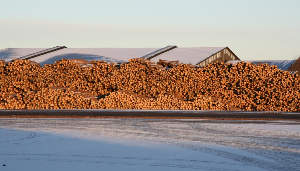 Tullen drabbar framför allt timmerexportörer i östra USA, särskilt Appalacherna, där 40 procent av leveranserna exporterades till Kina före mars i år.
