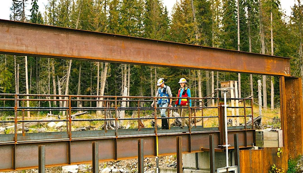ESG har länge varit en måttstock för att mäta ett företags påverkan på miljön och dess ansvarstagande och transparens. Foto: Pixabay, Creative Commons Lic, kredit: Mount Polley