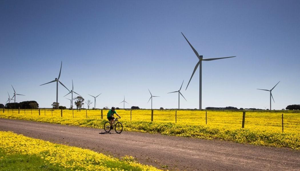 Det tyska företaget Notus Energy genomför ett nytt projekt för en vindkraftpark på 300 MW i Odessa-regionen, varav det första skedet kommer att vara på 120 MW, enligt företagets toppchef vid energimässan URC2024. Den första fasen av vindturbinerna är inte färdigställda, men företaget gör allt för att så snart som möjligt kunna starta projektet.