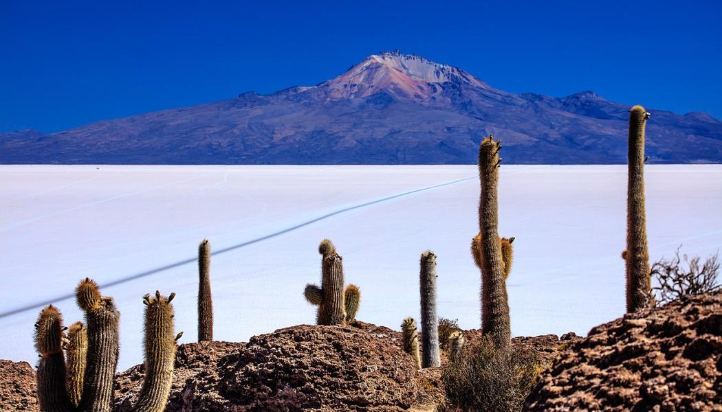 Saltöken i Bolivia där litium utvinns. Foto: Murray Foubister - https://www.flickr.com/photos/mfoubister/24544044010/Wikimedia Commons
