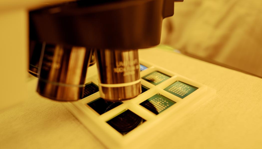 Smoltek hoppas att deras lösning kan bidra till att framtidens högpresterande chip fungerar stabilt och effektivt. Foto: Paul Wennerholm