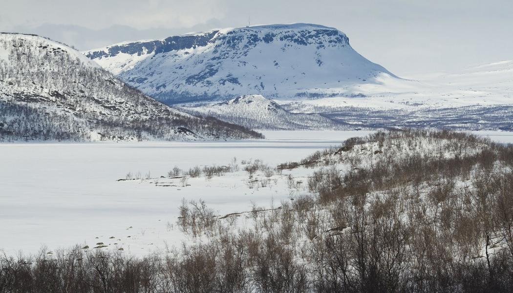 Saana-fjället (ett av de högsta fjällen i Finland) nära Kilpisjärvi, sett från söder över sjön Ala-Kilpisjärvi i Enontekiö, Lappland, Finland.  Foto: Wikipedia Common, kredit: Ximonic (Simo Räsänen) 