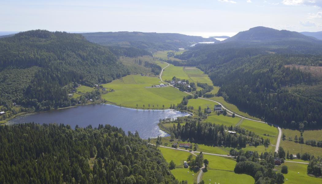 Skogsindustrierna menar att utredningen går längre än avskogningsförordningens krav. Foto: Simon Matthis 