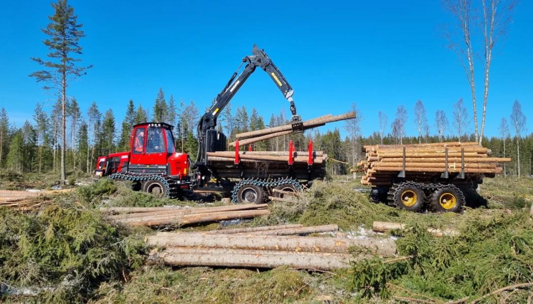 Stora Enso planerar att samla sina omfattande skogstillgångar i ett nytt bolag som väntas knoppas av från koncernen 2027. Foto: Stora Enso