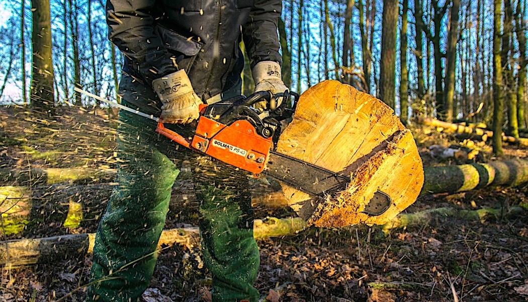 Massamarknaden uppvisar en något stabilare utveckling. Produktionen av långfibrig marknadsmassa väntas öka något i år, även om kapacitetsutnyttjandet i Finland är lågt på grund av driftsbegränsningar och tillfälliga permitteringar. Symbolbild: Creative Commons Lic. Kredit: Erich r.g.