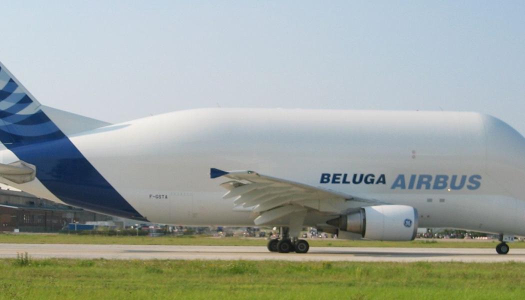Beluga, som flygplanen heter, har fått sitt namn efter deras likhet med en lång tandval, också kallad beluga. Foto: Xeper/Wikimedia Commons