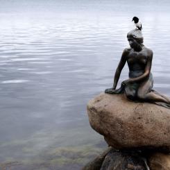 Khan Tariq Mikkel: Bronsskulpturen Den lilla sjöjungfrun i Köpenhamn. Arkivbild.