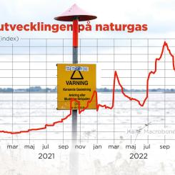 Johan Hallnäs/TT: Prisutvecklingen på naturgas, januari 2021–november 2022.