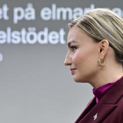 Jonas Ekströmer/TT: Regeringen och energi-och näringsminister Ebba Busch (KD) har en rad saker att reda ut innan elstödet till företag, kommuner, organisationer och föreningar kan börja betalas ut någon gång nästa år.