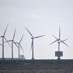 Johan Nilsson/TT: Vindkraftsparken Lillgrund söder om Öresundsbron består av 48 vindkraftverk med en höjd på 115 meter. Arkivbild.