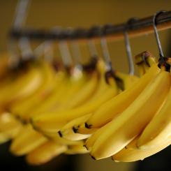 Frank May/AP/TT: Bananer är viktiga för Ecuadors ekonomi. Arkivbild.