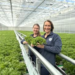 Kristin Orrestig och Lisa Lindström i det nya sallatsväxthuset. Foto: Svegro
