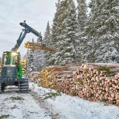 Ett ”utmanande marknadsläge" får Sveaskog att sänka virkespriserna för sina kunder. Foto: Sveaskog