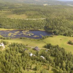 Holmen menar att FSC Sveriges kriterier går längre än FSC:s internationella kriterier och ” innebär kraftigt begränsande krav”. Arkivbild.