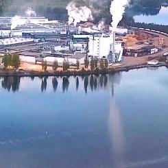 Nämnden för byggnads- och miljöfrågor i Nyslott behandlade ärendet under sommaren och gjorde klart att man förväntade sig alternativa lösningar från företaget. I sitt yttrande betonade nämnden att en utfyllnad av vattenområdet skulle kunna påverka både vattenkvaliteten och saimenvikarens möjligheter att häcka.
– Att fylla ut vattenområdet skulle påverka exempelvis vattenkvaliteten och saimenvikarens häckning, stod det i nämndens utlåtande. Foto: Metsä Group