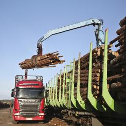 Foto: Metsä Group