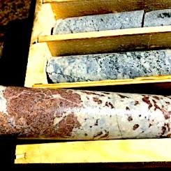 Färska fynd samlade. Foto: Rare Earths Norway (REN)