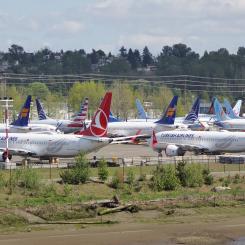 Några av de tiotals Boeing 737 MAX-flygplan som inte levererats och som parkerats vid Boeing Field i Seattle, USA efter att modellen stoppats, 2019. Bilden är tagen från South Park Bridge. Foto: Wikipedia Common, Kredit: CC BY-SA 4.0.