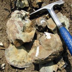 Geologen verktyg. Bland annat. Foto: Wikipeedia Common Lic. Kredit: Wilson44691