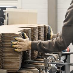 Den globala produktionen av papper och kartong visade även tecken på återhämtning, men den europeiska sektorn presterade marginellt bättre än sina globala konkurrenter. Foto: Cepi