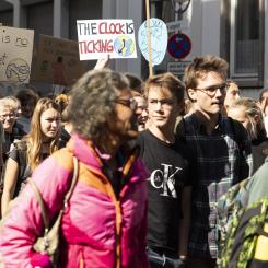 Klimatdemonstration. Foto: Creative Commons Lic. Kredit: Pixabay, cubicroot