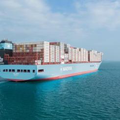 Med Maersk Go kan Maxim Exports fokusera på sin kärnverksamhet och tillväxtmål anser båda partners. Foto: Maersk Go