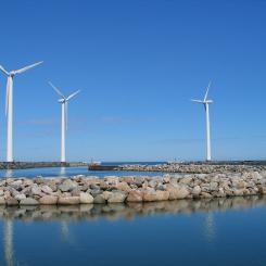 Foto: Dirk Goldhahn/Wikimedia Commons