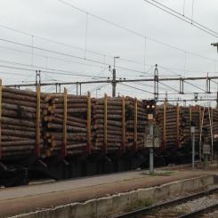 Tågtransporterna utgör ungefär 45 procent av det transportarbetet som krävs för att SCA Skog ska kunna försörja SCA:s industrier med råvara.