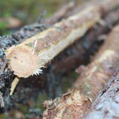 Foto: Epiroc