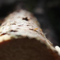 Epirocs SmartROC D65 borrigg är byggd för att klara tuffa förhållanden med funktioner som förbättrar säkerheten och produktiviteten.  Foto: Epiroc