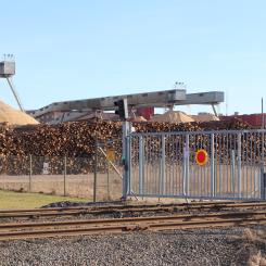 Foto: Metso