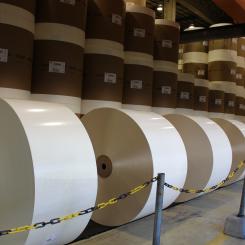 De felaktiga uppgifterna ska härröra från en artikel publicerad av Reuters, som påstår att "Suzano har kontaktat USA-baserade International Paper för att uttrycka sitt intresse för ett kontantförvärv, som skulle vara värt nästan 15 miljarder dollar". Arkivbild.