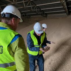  Säkrare och effektivare pelletstillverkning har varit målet med forskningsprojektet Innopels. Foto: Paper Province