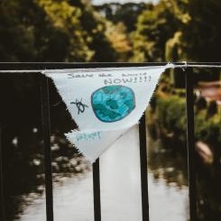 Bild: Nik @ Unsplash.