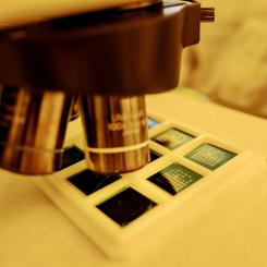 Smoltek hoppas att deras lösning kan bidra till att framtidens högpresterande chip fungerar stabilt och effektivt. Foto: Paul Wennerholm