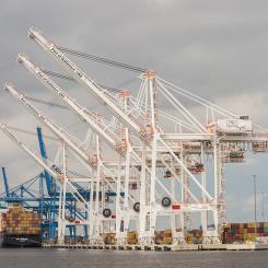 Hamnterminal i Baltimore. Foto: Wikimedia Commons