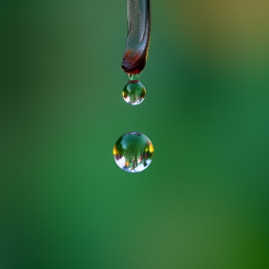 Bild: AI-genererad bild. Inte ett fotografi.
Copyright © Conventus – AI-genererat innehåll. Inget av materialet får reproduceras eller användas i andra sammanhang utan skriftligt tillstånd.