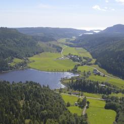 Skogsindustrierna menar att utredningen går längre än avskogningsförordningens krav. Foto: Simon Matthis