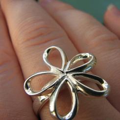 Silverring. Foto: Snibban/Wikimedia Commons